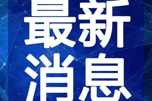 顾北小屋爆料视频大全最新,揭秘娱乐圈不为人知的一面