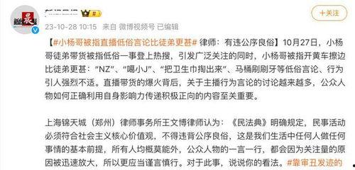 小杨哥事情爆料最新消息,揭秘背后惊人真相